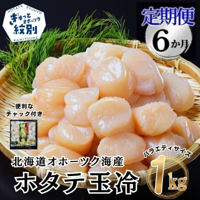 【定期便6か月】北海道オホーツク海産ホタテ玉冷大(1kg)×6回