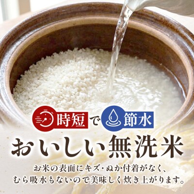 【令和7年産】宮城県産ひとめぼれ【無洗米】10kg(5kg×2)