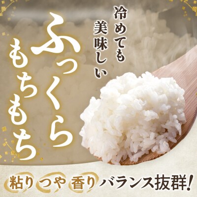 【令和7年産】宮城県産ひとめぼれ【無洗米】10kg(5kg×2)