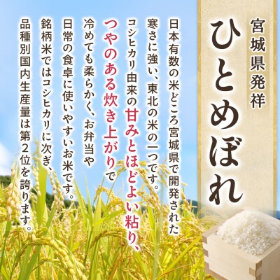 【令和7年産】宮城県産ひとめぼれ【無洗米】10kg(5kg×2)