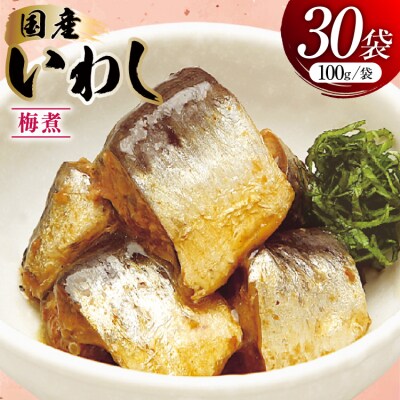 いわし 梅煮 100g 30袋 計3kg [気仙沼市物産振興協会 20565956] 