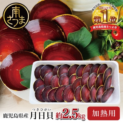 【鹿児島特産】希少 月日貝 約2.5kg (加熱調理用) ツキヒガイ