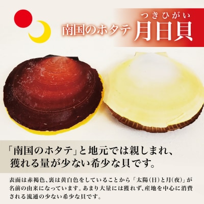 【鹿児島特産】希少 月日貝 約2.5kg (加熱調理用) ツキヒガイ