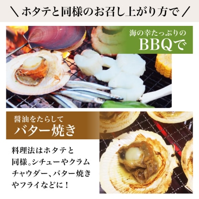 【鹿児島特産】希少 月日貝 約2.5kg (加熱調理用) ツキヒガイ