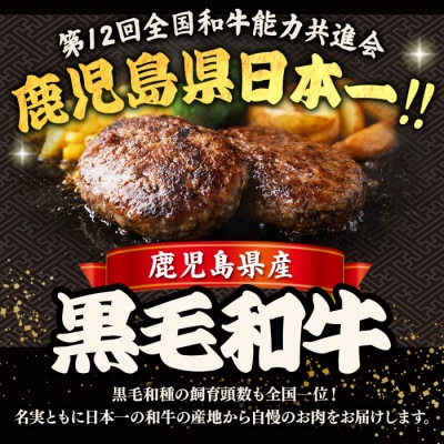 黒毛和牛入り ハンバーグ(140g×11個・計1.54kg)