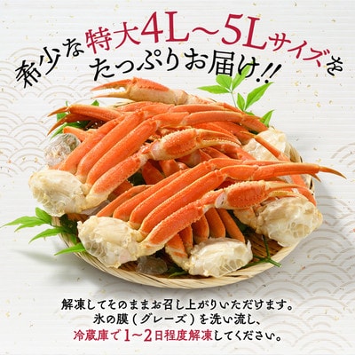 【訳あり】特大4L～5L_ボイル本ずわいがに肩脚　4～5肩(約1.5kg)