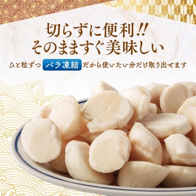 【訳あり】北海道オホーツク産ホタテ貝柱(生食用)小粒特盛 1kg | サイズ不揃い ワケアリ 訳あり