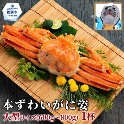 【訳あり】本ずわいがに姿　大型サイズ1杯 約600～800g