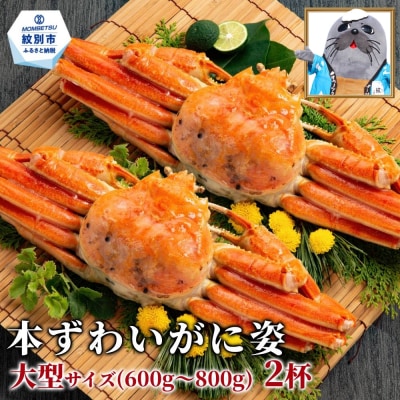 【訳あり】本ずわいがに姿　大型サイズ2杯 約600～800g