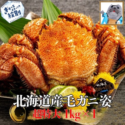 【訳あり】超特大_北海道産毛ガニ　約1kg×1杯