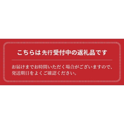 【事前受付】約2kgまるでトマトの宝石箱 フルーツジュエリートマト 4月～6月発送　H004-195