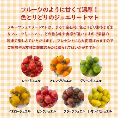 【事前受付】約2kgまるでトマトの宝石箱 フルーツジュエリートマト 4月～6月発送　H004-195