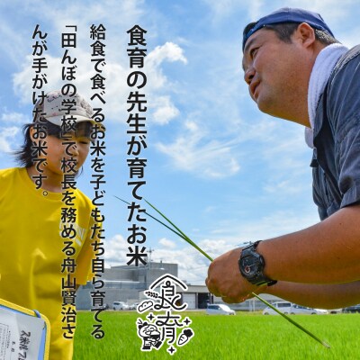 【令和8年産米】特別栽培米ゆめぴりか(特秀)5kg×3回 定期便【AB-014】