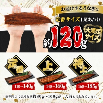 無投薬!鹿児島県産うなぎ蒲焼セット<定番>(計720g・ 約120g×6尾) タレ・山椒付き