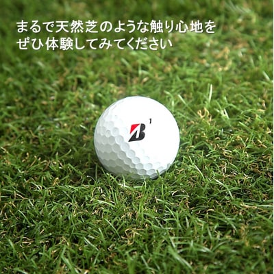 まるで天然芝のような触り心地!アイリスソーコー人工芝1m×5m_2054R