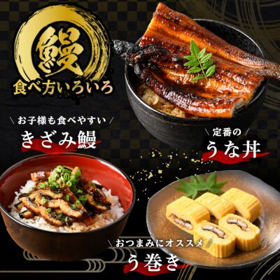 国産うなぎ蒲焼 2尾 と国産うなぎ 肝串1袋(5本入)(鹿児島県産うなぎ)