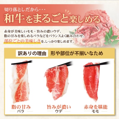【訳あり】博多和牛　切り落とし800g (400g×2パック)