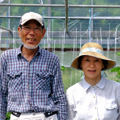 高知県産 新生姜 1.5kg前後 しょうが 生姜 ショウガ 期間限定 生産量日本一 旬野菜 野菜