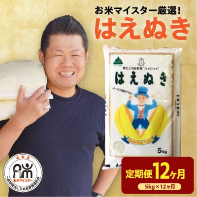 【12ヶ月定期便】 令和7年産 はえぬき 5kg × 12回 計60kg