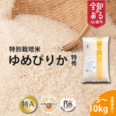 【令和8年産米】特別栽培米ゆめぴりか(特秀)10kg×12回 定期便【AB-020】