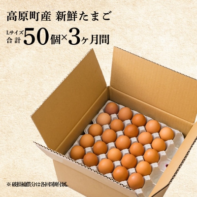 『卵の定期便』年3回計150個《大玉の赤たまご》 宮崎県産きみの力(チカラ)Lサイズ　TF416