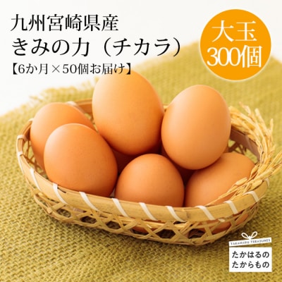 『卵の定期便』年6回計300個《大玉の赤たまご》宮崎県産きみの力(チカラ)Lサイズ　TF448