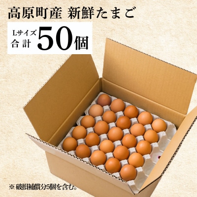 《大玉の赤たまご》 宮崎県産きみの力(チカラ)Lサイズ卵 50個　TF793