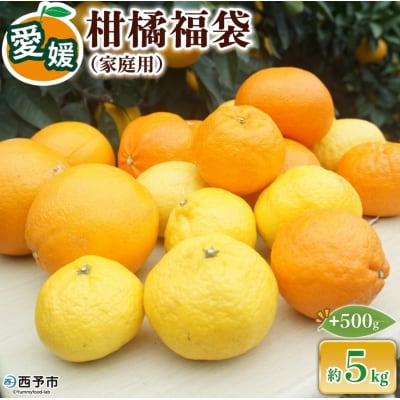 <笑丸のお楽しみ柑橘福袋(家庭用)約5kg+500g>笑丸 みかん おいしい えひめ