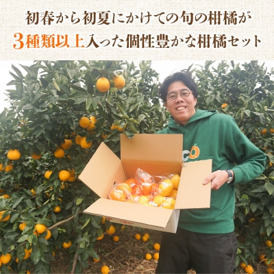 <笑丸のお楽しみ柑橘福袋(家庭用)約5kg+500g>笑丸 みかん おいしい えひめ