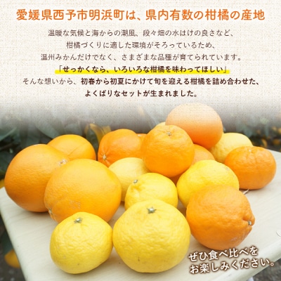 <笑丸のお楽しみ柑橘福袋(家庭用)約5kg+500g>笑丸 みかん おいしい えひめ