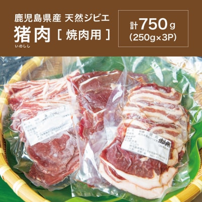 【南さつまジビエ】鹿児島県産 猪肉 焼肉用 計750g(250g×3P)