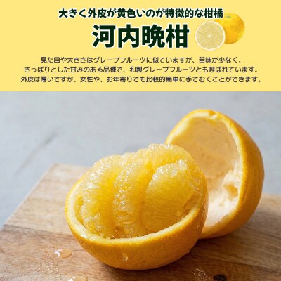 先行受付<天晴晩柑(河内晩柑)家庭用 約10㎏+300g笑丸 愛媛県 柑橘>