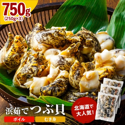 浜茹でつぶ貝750g【er001-132】