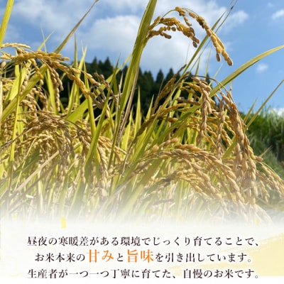 鹿児島県産ひのひかり(5kg)