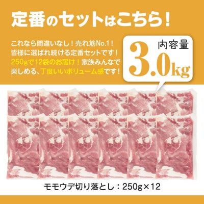 鹿児島県産 豚肉切り落とし (計3kg) 