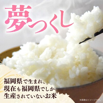 令和8年産 福岡県産米 夢つくし 5kg (5kg×1袋) 精米
