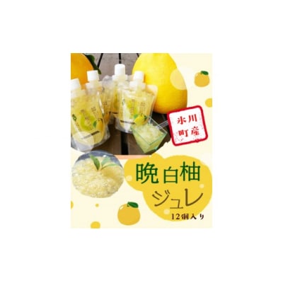 晩白柚ジュレ170g×12個《30日以内に出荷予定(土日祝除く)》