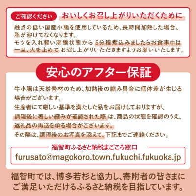 【訳あり】博多若杉 牛もつ鍋4人前(2人前×2セット)