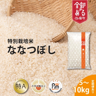 【令和7年産】特別栽培米ななつぼし5kg【AB-029】