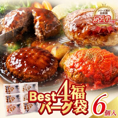 Best4 ハンバーグ 6個セット