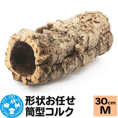 形状お任せ 筒型コルク Mサイズ 長さ30cm エアプランツ|09_chm-cl0101cb