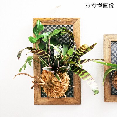 ハンギングボード 縦型 大 壁掛け ウッドフレーム|09_chm-cq0101ab