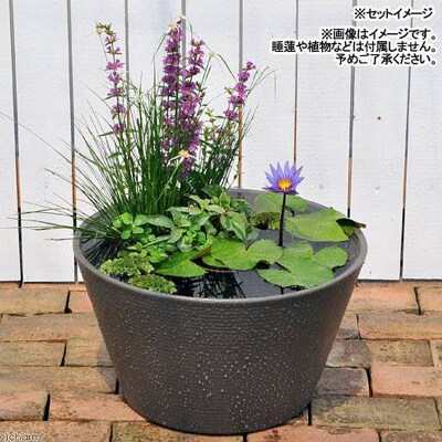 睡蓮鉢 メダカ鉢 金魚鉢 直径44cm 高さ25cm 軽量2kg|09_chm-cs0101b