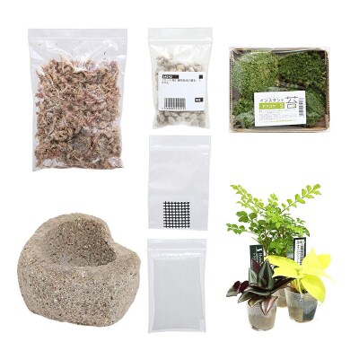 動画で作る 体験キット17 苔盆栽 抗火石鉢植え おまかせ観葉植物3種|09_chm-bd0101