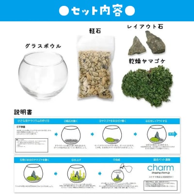 小さな苔テラリウム カプセルトイ 30個セット 株式会社チャーム|09_chm-dl3001