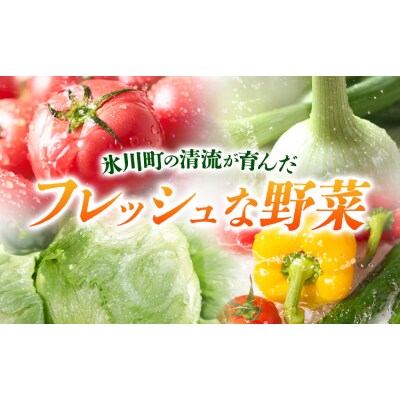 旬の野菜・果物詰め合わせセット8-12品 氷川町産 道の駅竜北《30日以内に出荷予定(土日祝除く)》