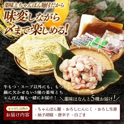 博多喜造 国産牛 もつ鍋セット 2人前