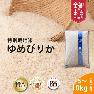 【令和8年産新米】特別栽培米 ゆめぴりか　10kg 北海道【AB-046】