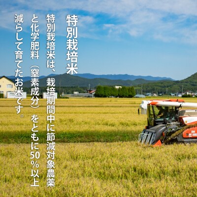 【令和8年産新米】特別栽培米ゆめぴりか　10kg×3回 定期便【AB-047】
