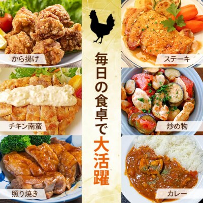 鹿児島県産若鶏もも(約500g×8P)